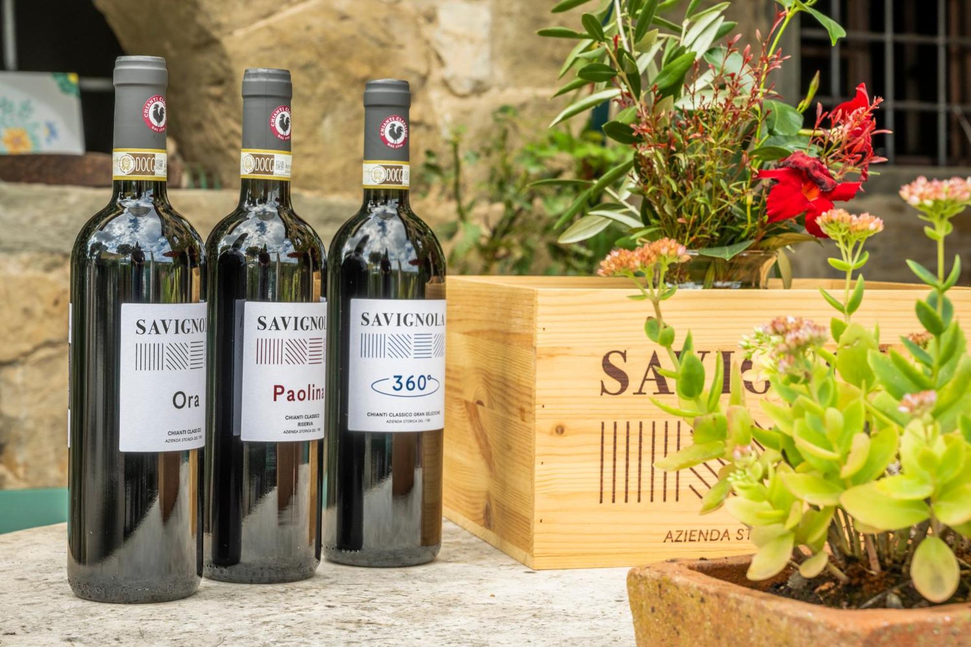 Savignola Paolina Villa Greve in Chianti Exterior photo
