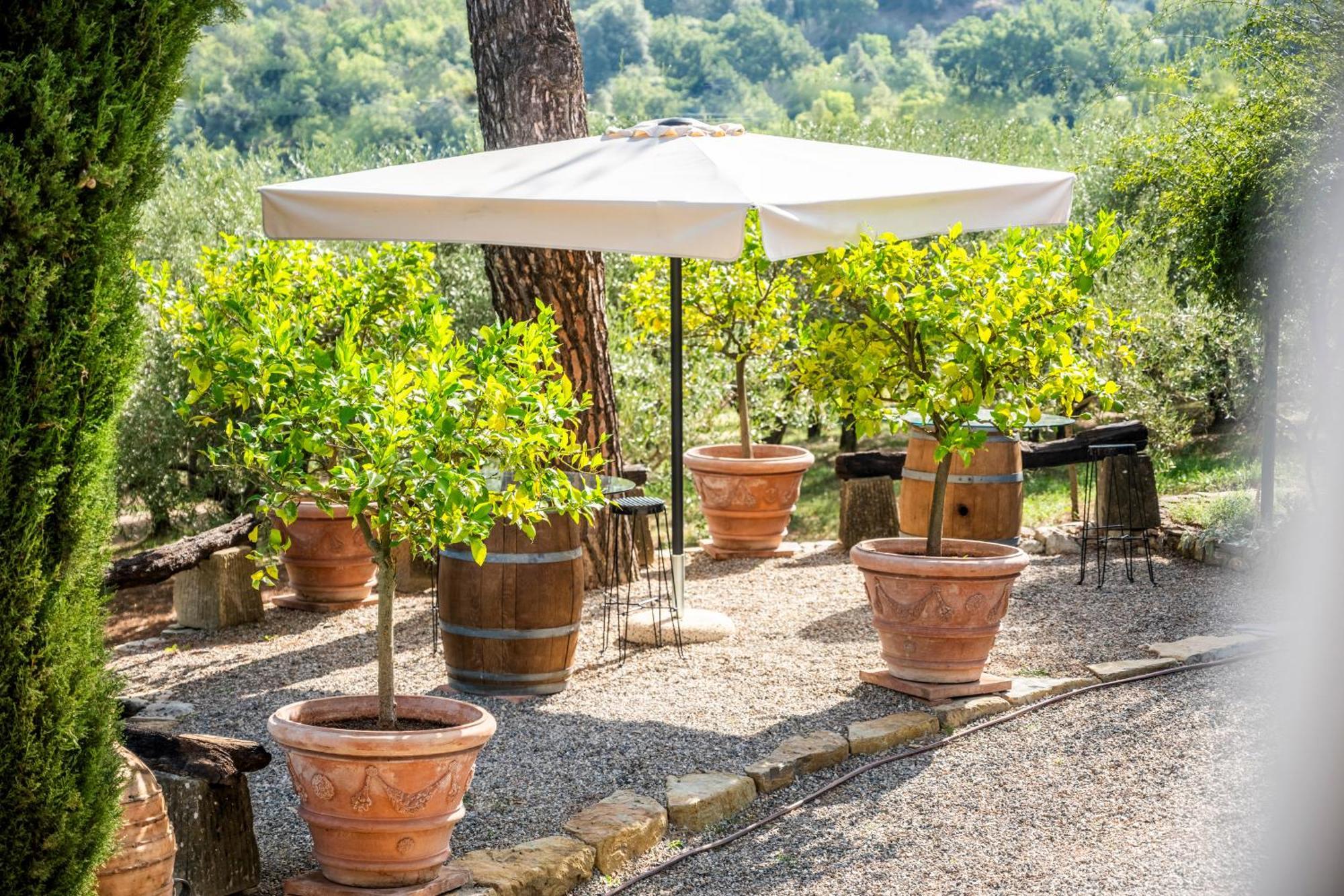Savignola Paolina Villa Greve in Chianti Exterior photo